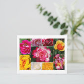 Carte postale Collage rose (Debout devant)