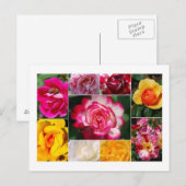 Carte postale Collage rose (Devant / Derrière)