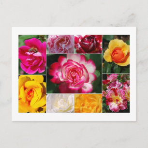 Carte postale Collage rose