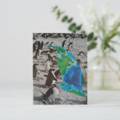 Carte Postale Collage sur la faune des manchots (Debout devant)