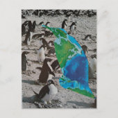 Carte Postale Collage sur la faune des manchots (Devant)