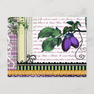 Carte Postale Collage vintage de fruits de prunes