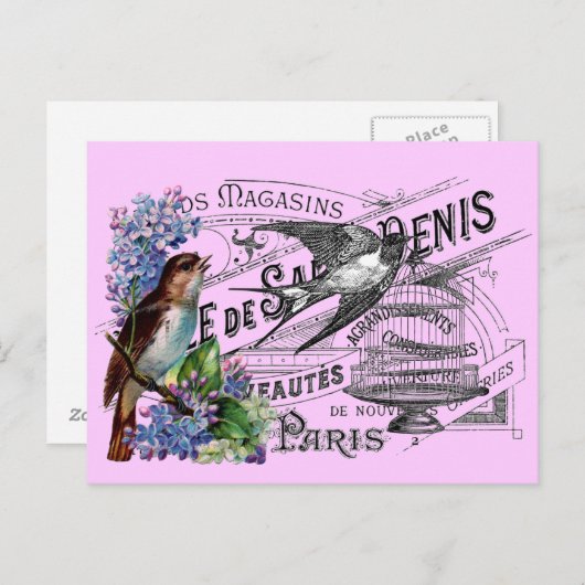 Carte Postale Collage vintage d'oiseaux (Devant / Derrière)