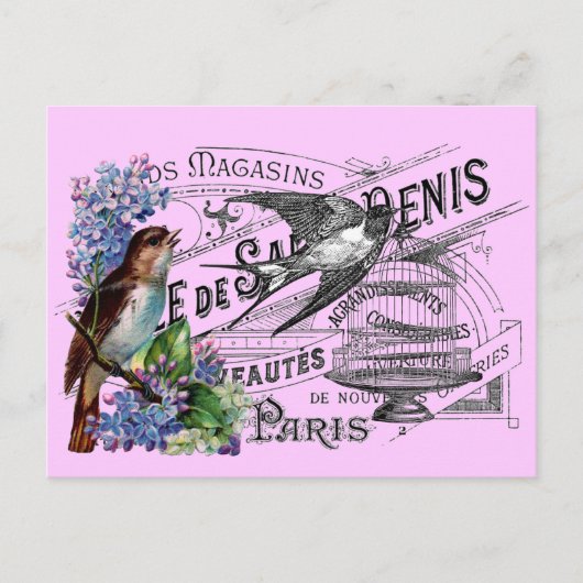 Carte Postale Collage vintage d'oiseaux (Devant)