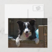 Carte Postale colle de bordure (Devant / Derrière)