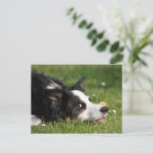 Carte Postale colle de bordure (Debout devant)