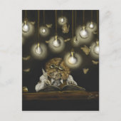 Carte postale collectable de "illumination" (Devant)