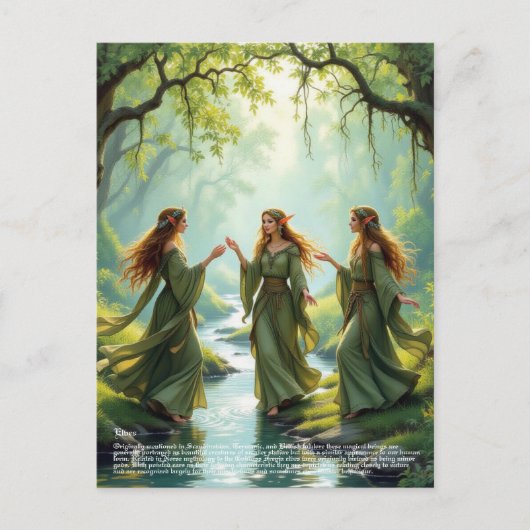 Carte Postale Collecte d'elf (Devant)