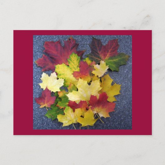 Carte Postale Collection automne (Devant)