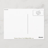 Carte Postale Collection AUTOMNE FEUILLES (Dos)