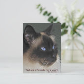 Carte Postale Collection CAT BIRMAN RAGDOLL (Debout devant)