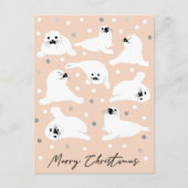 Carte Postale Collection d'animaux de l'Arctique - Phoques (Devant)