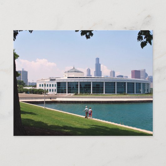 Carte Postale Collection d'aquarium de Chicago Shedd (Devant)