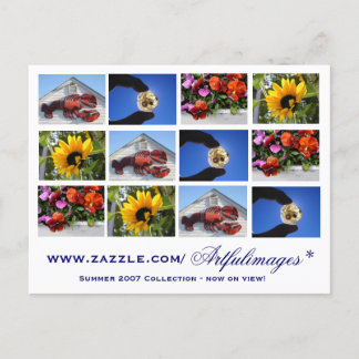 Carte Postale Collection de 2007 étés