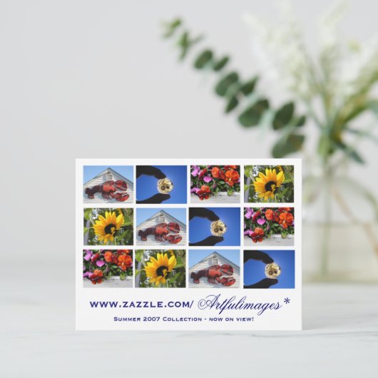 Carte Postale Collection de 2007 étés (Debout devant)