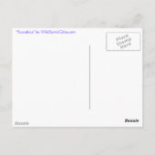 Carte Postale Collection de BEETTES SCARABES ÉGYPTIENNES (Dos)