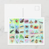 Carte Postale Collection de bogues d'été en aquarelle (Devant / Derrière)