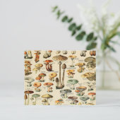 Carte postale Collection de champignons (Debout devant)