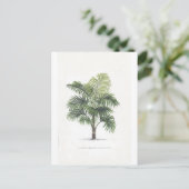Carte Postale Collection de dessins de paume (Debout devant)