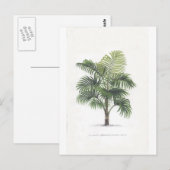 Carte Postale Collection de dessins de paume (Devant / Derrière)
