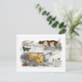 Carte Postale Collection de divers chiens par Oliver Goldsmith  (Debout devant)