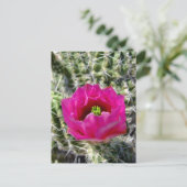 Carte Postale Collection de fleurs de hérisson rose (Debout devant)