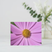 Carte Postale Collection de fleurs no 4 (Debout devant)