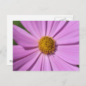 Carte Postale Collection de fleurs no 4 (Devant / Derrière)