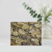 Carte Postale Collection de la réserve de roches (Debout devant)