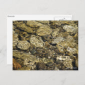 Carte Postale Collection de la réserve de roches (Devant / Derrière)