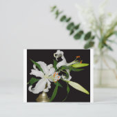 Carte Postale Collection de lys artistiques-1 (Debout devant)