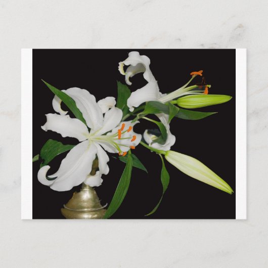 Carte Postale Collection de lys artistiques-1 (Devant)
