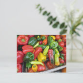Carte Postale Collection de poivrons (Debout devant)