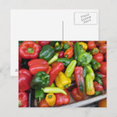 Carte Postale Collection de poivrons (Devant / Derrière)