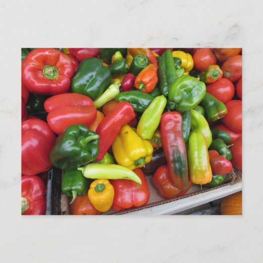 Carte Postale Collection de poivrons (Devant)