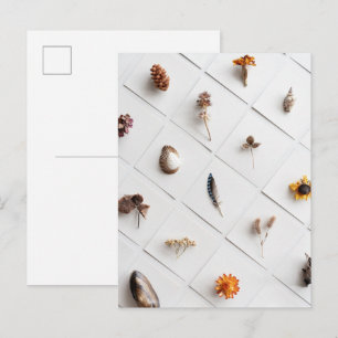 Carte Postale Collection de spécimens naturels minimaliste