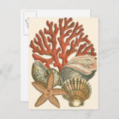 Carte Postale Collection de vies marines (Devant / Derrière)