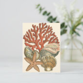 Carte Postale Collection de vies marines (Debout devant)