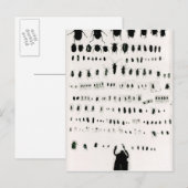 Carte Postale Collection d'insectes de Darwin (Devant / Derrière)