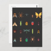 Carte Postale Collection d'insectes Dessin Entomologie mûre (Devant / Derrière)