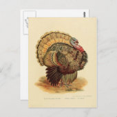 Carte Postale Collection d'oiseaux à l'illustration de dinde vin (Devant / Derrière)