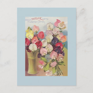 Carte Postale Collection Excelsior vintage de pois sucrés assort