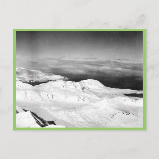 Carte Postale Collection Halter (Devant)