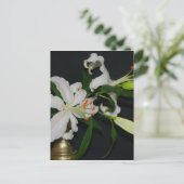 Carte Postale Collection Irlandaise de laiton et de fleurs (Debout devant)