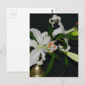 Carte Postale Collection Irlandaise de laiton et de fleurs (Devant / Derrière)