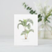Carte Postale Collection Palm - Dessin II (Debout devant)