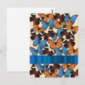 Carte Postale Collection papillon (Devant / Derrière)
