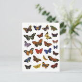 Carte Postale Collection papillon (Debout devant)