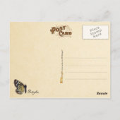 Carte Postale Collection papillon (Dos)