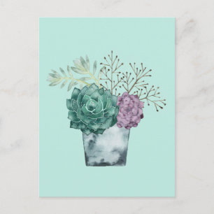 Carte Postale Collection plante Happy   Succulents